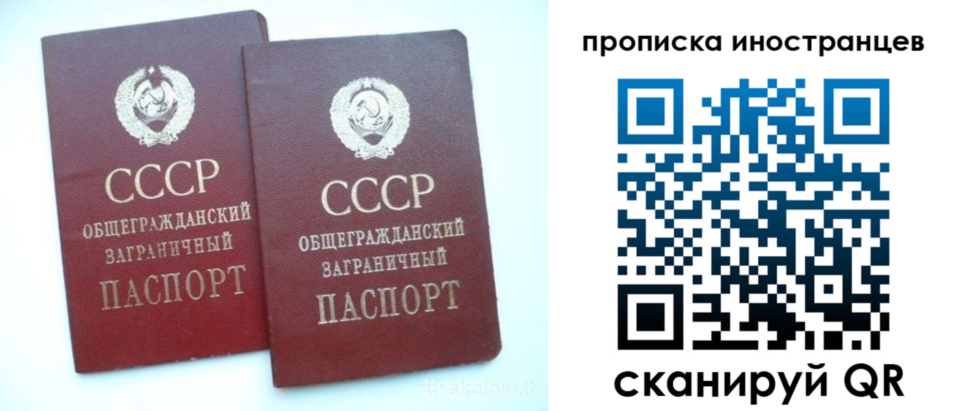 прописка 2025 в Жуковском